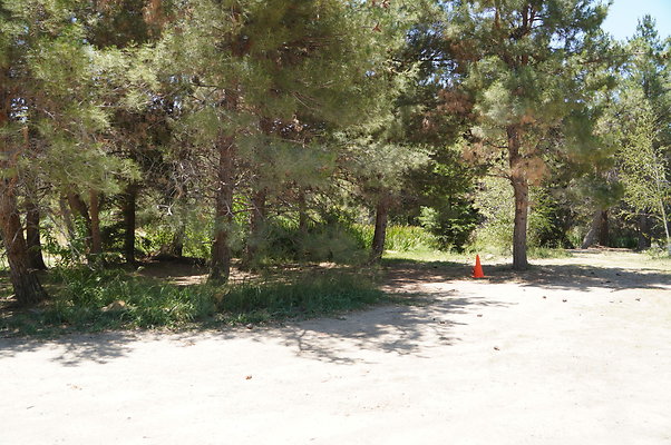 GOR.Pine Lake.014