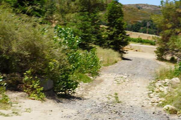 GOR.Pine Lake.071