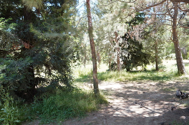 GOR.Pine Lake.063