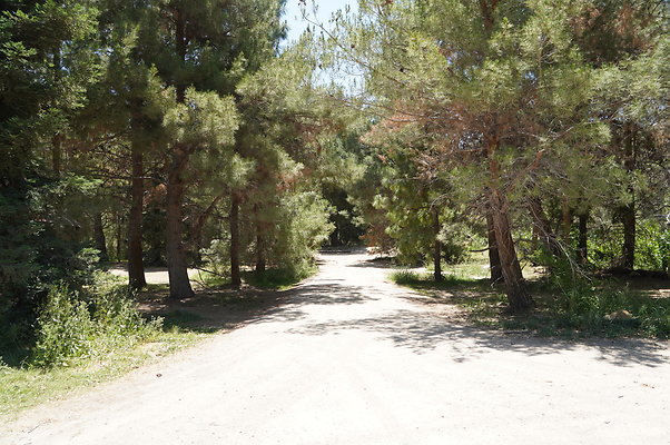 GOR.Pine Lake.008