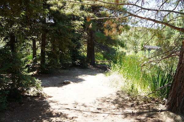 GOR.Pine Lake.037