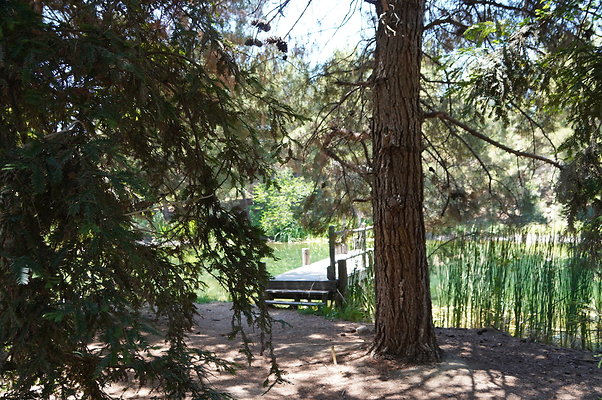 GOR.Pine Lake.046