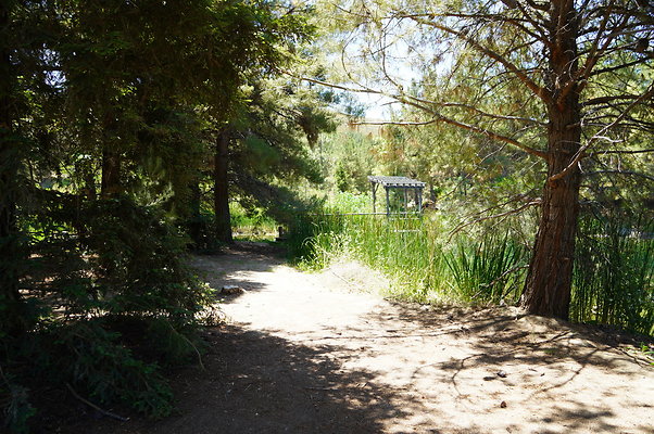 GOR.Pine Lake.034