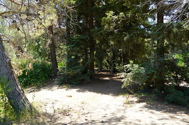 GOR.Pine Lake.032