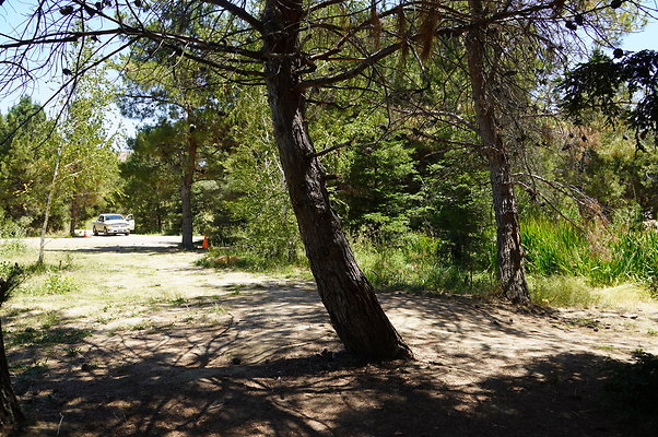 GOR.Pine Lake.035
