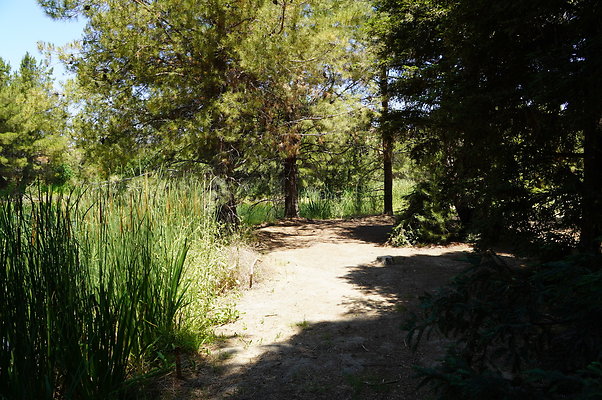 GOR.Pine Lake.056