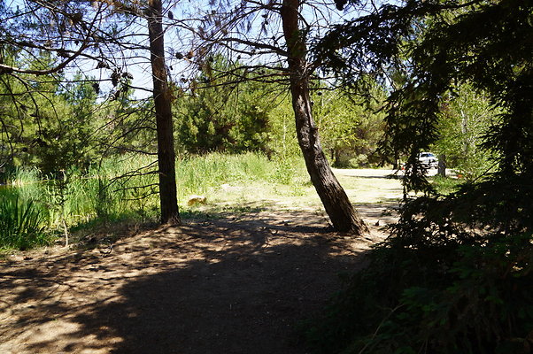 GOR.Pine Lake.060