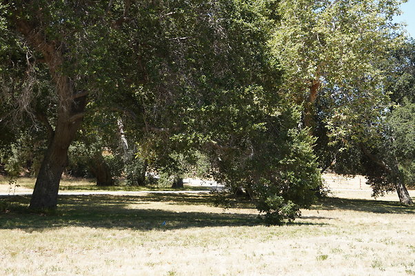 GOR.Ragwing Barn.Green.009