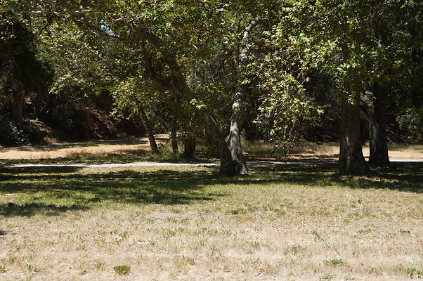 GOR.Ragwing Barn.Green.008