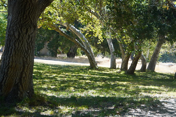 GOR.Placerita Insert Road.006