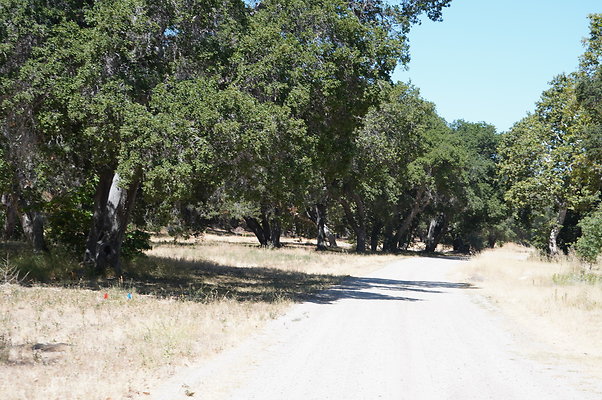GOR.Placerita Insert Road.021