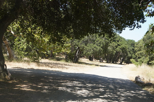 GOR.Placerita Insert Road.020