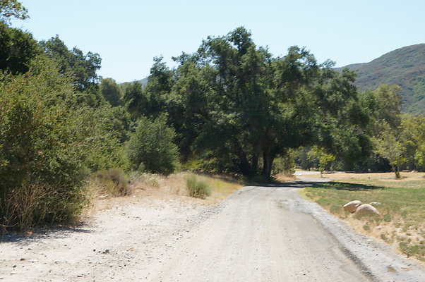 GOR.West.Med.Road.015