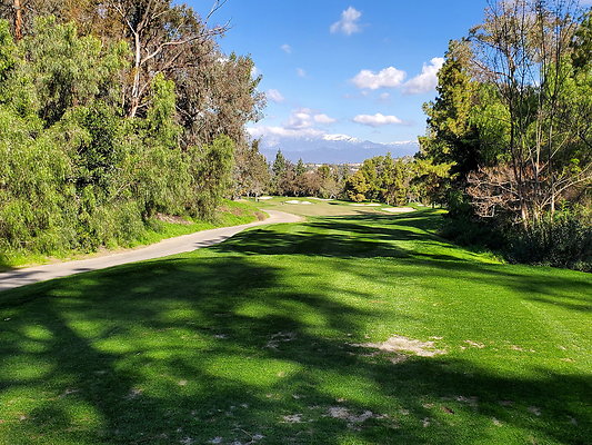Pacific Palms CC.133