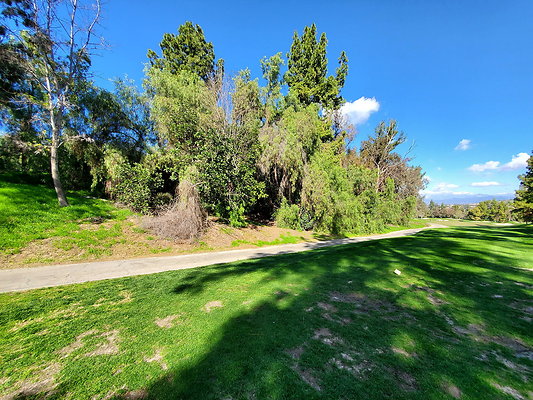 Pacific Palms CC.130