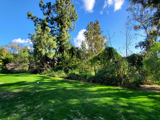 Pacific Palms CC.132