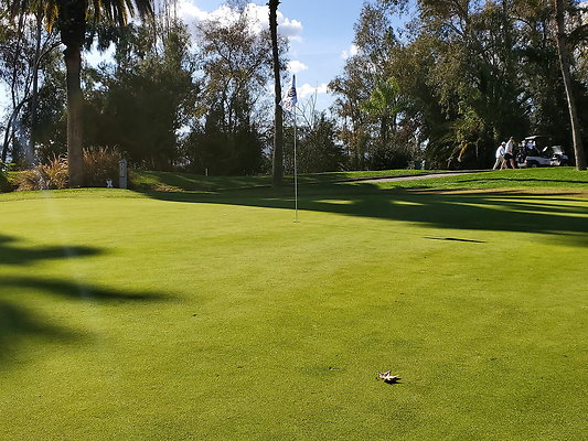 Pacific Palms CC.121