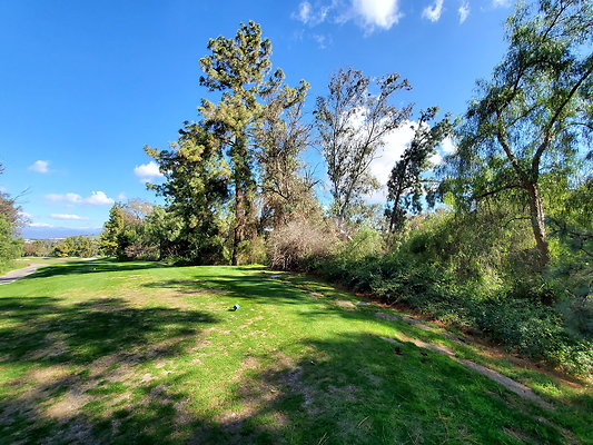 Pacific Palms CC.129