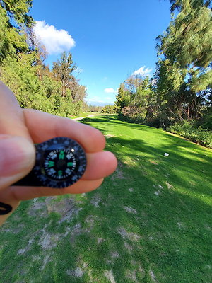 Pacific Palms CC.135