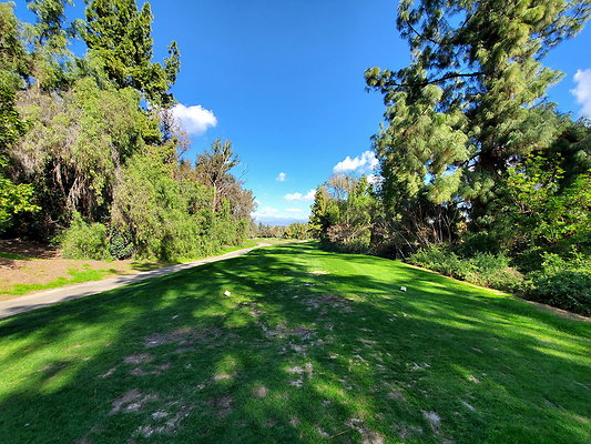 Pacific Palms CC.131
