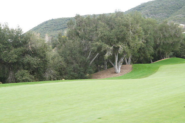 Sherwood.CC.Hole 18.024