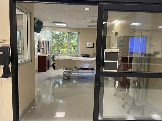 AHSV ICU