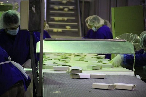 UNIVERSAL-8794-CARSON-90