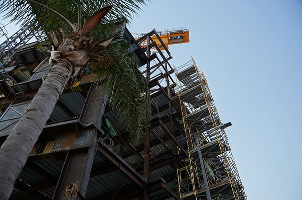 Construct-San.Vincente Orange Grove.Mid.City.21