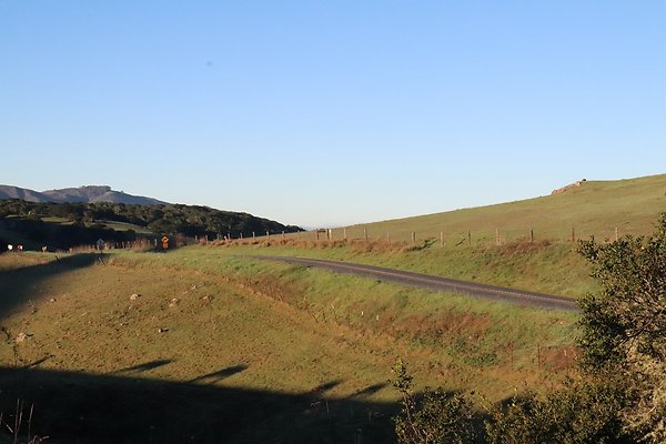 TURRI RD.3