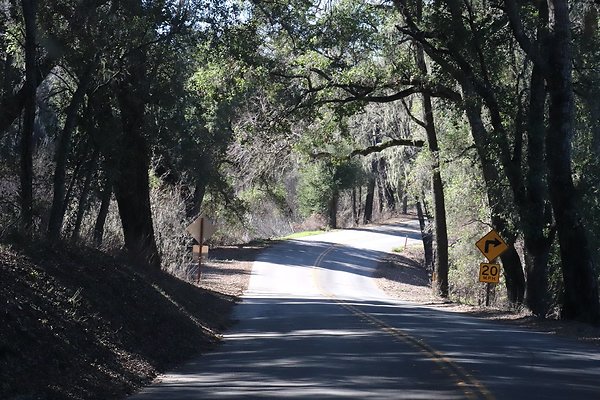 VINEYARD DRIVE.9