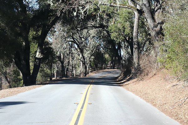 VINEYARD DRIVE.17