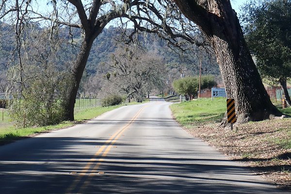 VINEYARD DRIVE.13