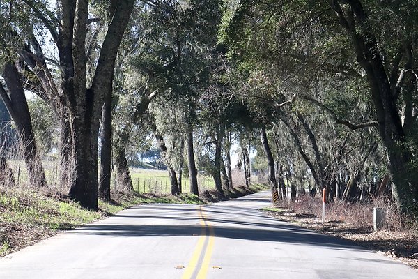 VINEYARD DRIVE.3
