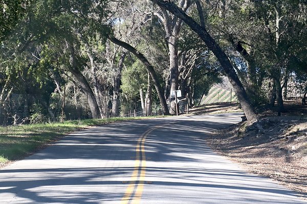 VINEYARD DRIVE.22