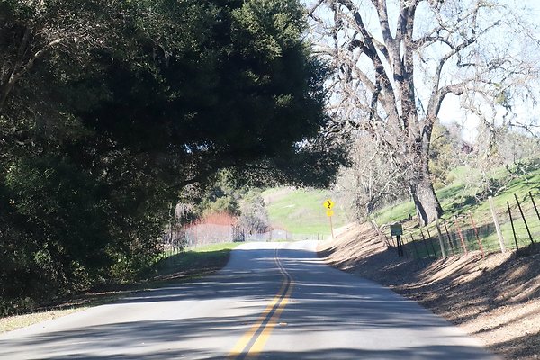 VINEYARD DRIVE.21