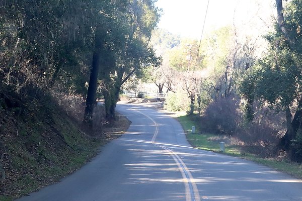 VINEYARD DRIVE.11