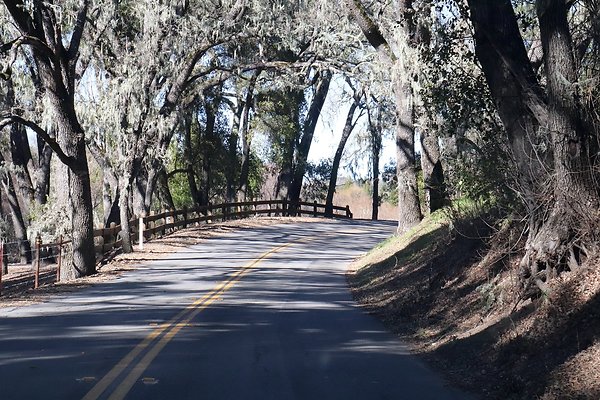 VINEYARD DRIVE.18