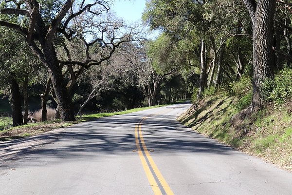 VINEYARD DRIVE.26