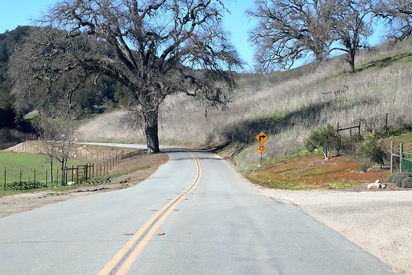 VINEYARD DRIVE.15
