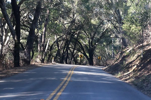 VINEYARD DRIVE.6