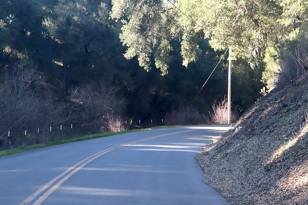 VINEYARD DRIVE.5