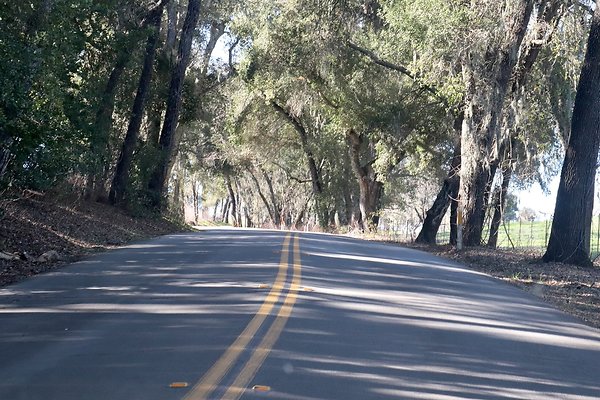 VINEYARD DRIVE.2