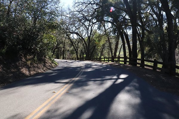 VINEYARD DRIVE.28