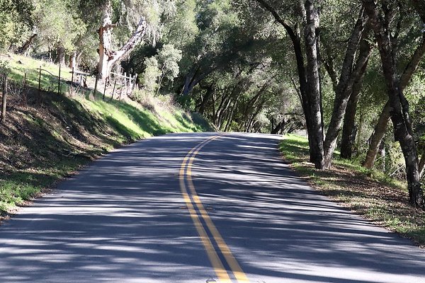 VINEYARD DRIVE.25