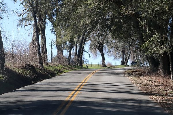 VINEYARD DRIVE.4