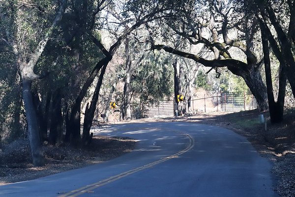 VINEYARD DRIVE.8