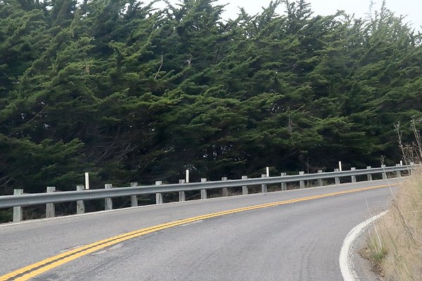 HWY 1 NORTH TOWARDS RAGGED POINT.10