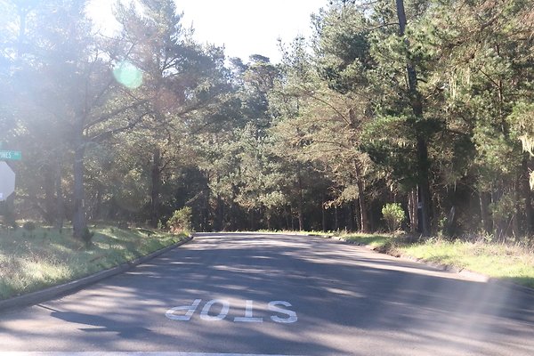 CAMBRIA PINES RD.9