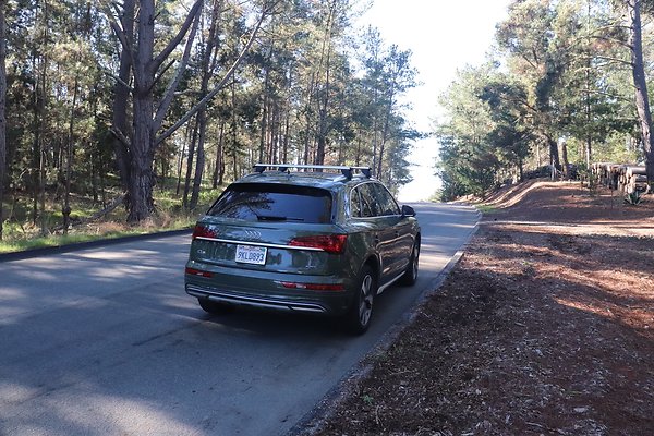 CAMBRIA PINES RD.14