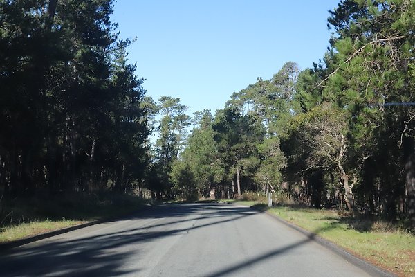 CAMBRIA PINES RD.6